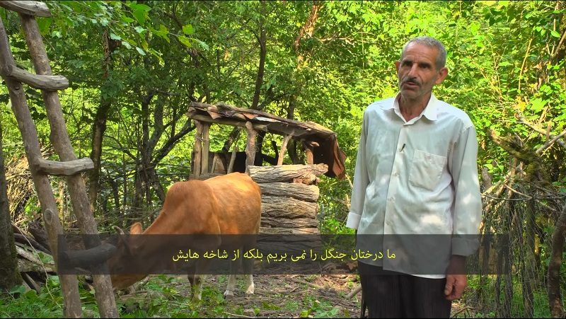 گزارش کوتاه زندگی یکی از جنگل نشینان منطقه چوبر تالش بنام “عمو رجب”