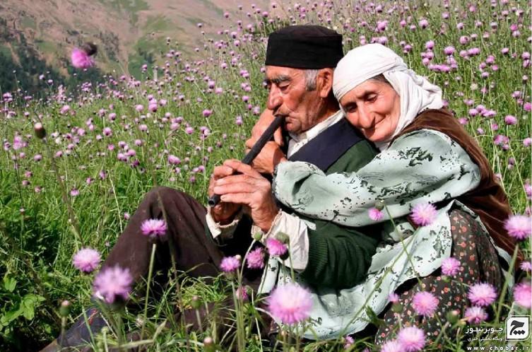 عکسی از تالش که جایزه جشنواره ها را درو کرد