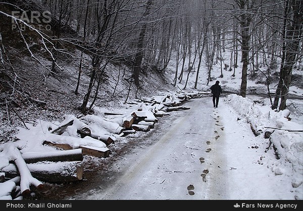 طبیعت زمستانی تالش + تصاویر