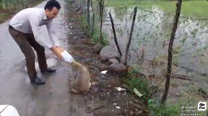 اقدام شایسته دو تن از دوستداران محیط زیست چوبر در صدر اخبار رسانه ها