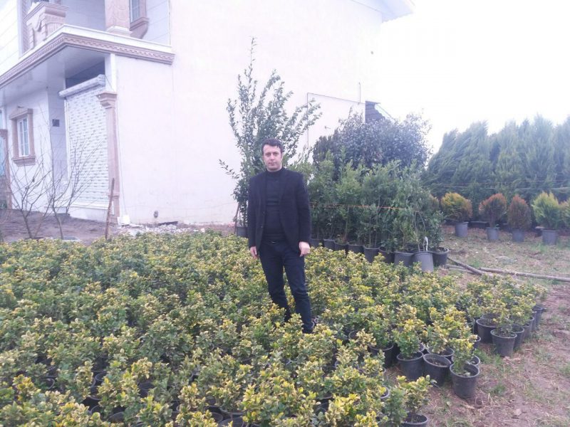 طرح زیباسازی شهرچوبر برای ایام نوروز آغاز شد