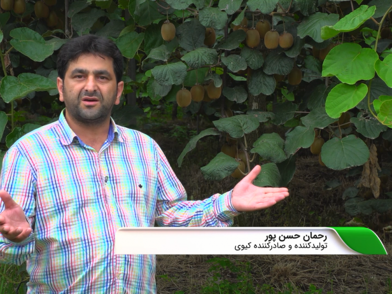 کشاورزان گیلانی سرمازدگی را جدی بگیرند