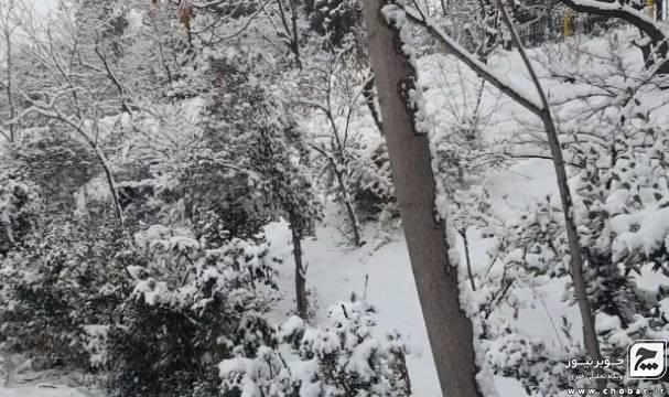 برف و باران در مناطق کوهستانی چوبر