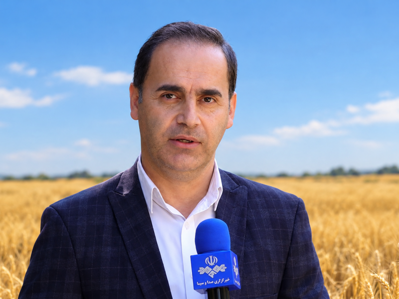علیرضا شوکتی چوبر؛ خبرنگار، گزارشگر و مجری صداوسیما