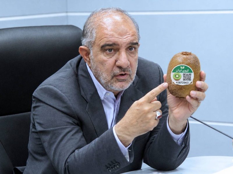 ورود کمیسیون کشاورزی مجلس به مشکلات باغداران کیوی